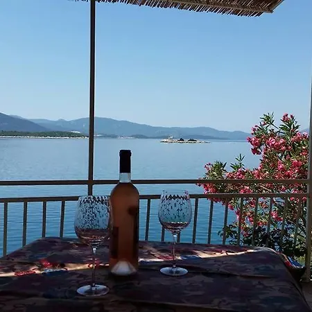 Nikoletić *