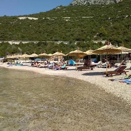 Nikoletić