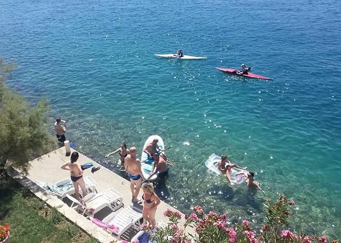 Nikoletic