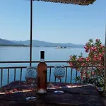 Nikoletic *