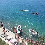 Nikoletic