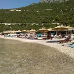 Nikoletic