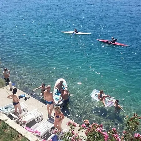 Nikoletic